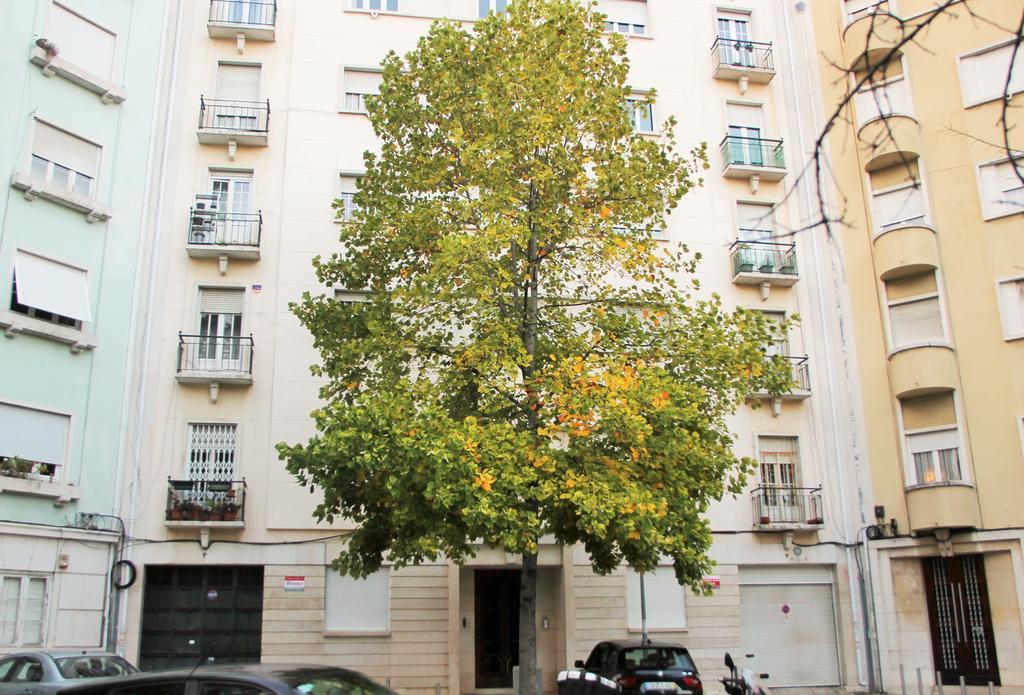 דירות ליסבון Casa Da Praceta מראה חיצוני תמונה